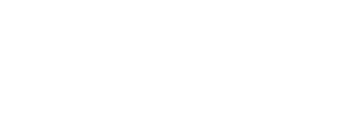 NYA-EVO bags