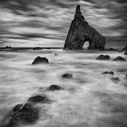 HALTED BY STUPEFYING TIDES