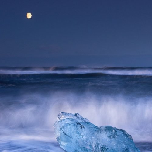 HOWLING AT THE MOON